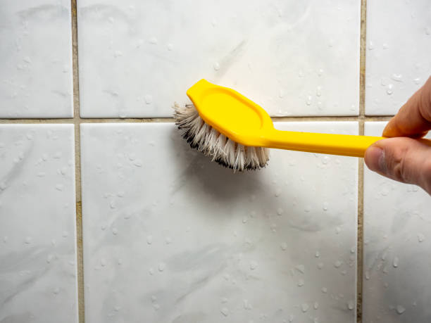Best Kitchen Mold Remediation in North Plymouth, MA